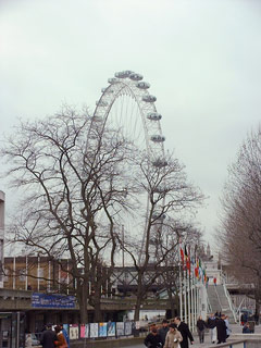 010 london eye 31.JPG