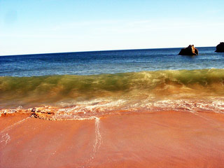 beach-06.jpg