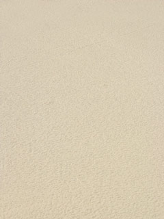 beach-23.jpg