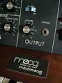 minimoog